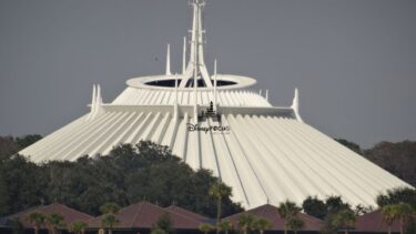 【ディズニー】環境への取り組みの最前線！地球への配慮が生む魔法のサステナブル戦略