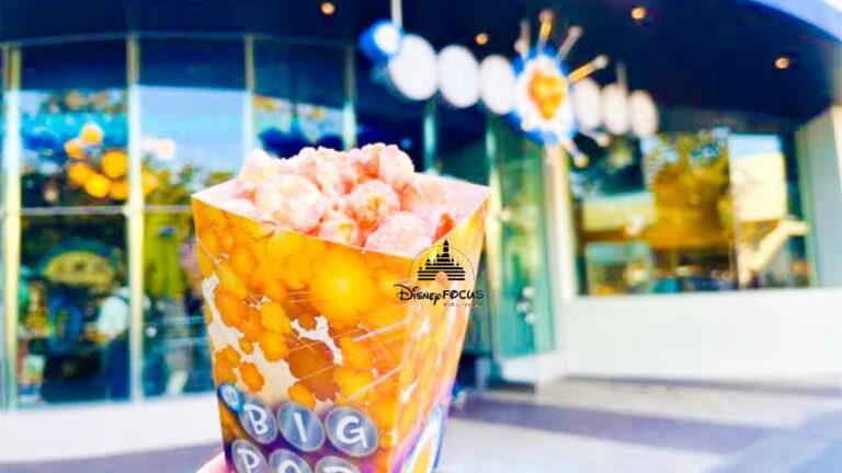 3種類の味】ビッグポップはディズニーBBポップコーン専門店！バケット