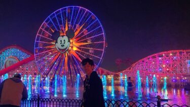 海外ディズニーパークを毎月飛び回る私がかかる実際の費用はいくらか？航空券・チケット